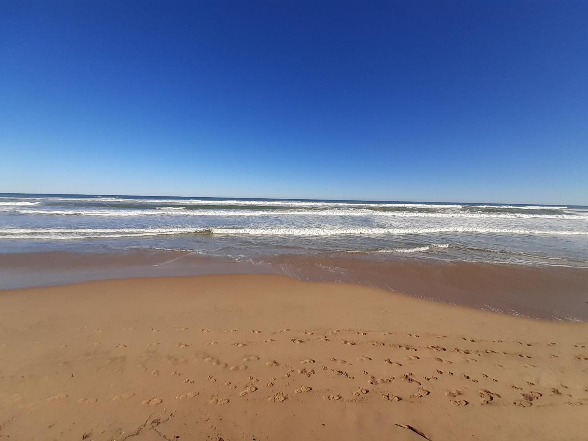 La Rose Apartment Gandia Bagian luar foto